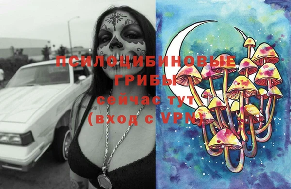 крисы Аркадак