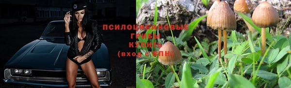 мдпв Армянск