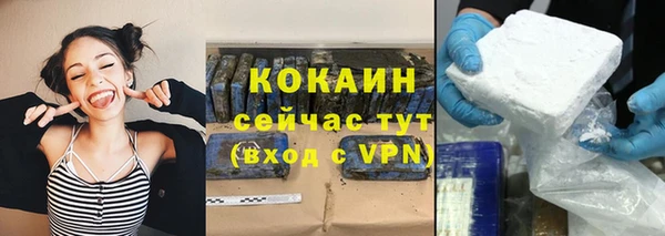 крисы Аркадак