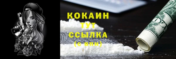 крисы Аркадак
