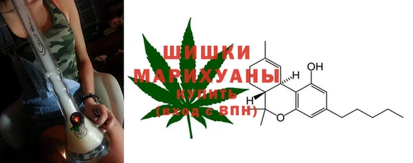 крисы Аркадак