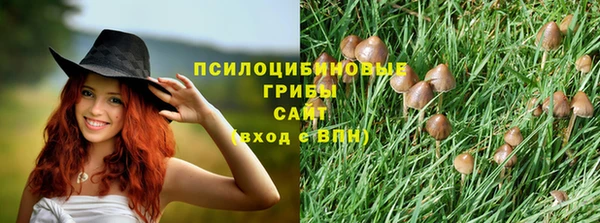 крисы Аркадак