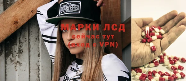 крисы Аркадак