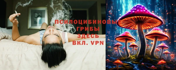 мдпв Армянск
