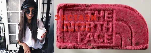 крисы Аркадак