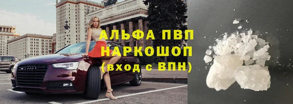крисы Аркадак