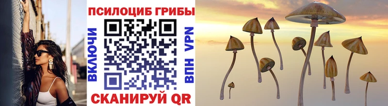 Псилоцибиновые грибы MAGIC MUSHROOMS  Николаевск-на-Амуре 